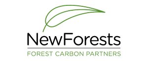 Silver_FCP-new-forests